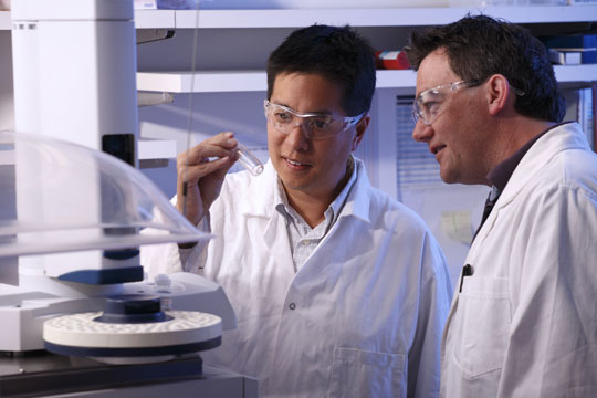 Laboratory Workers